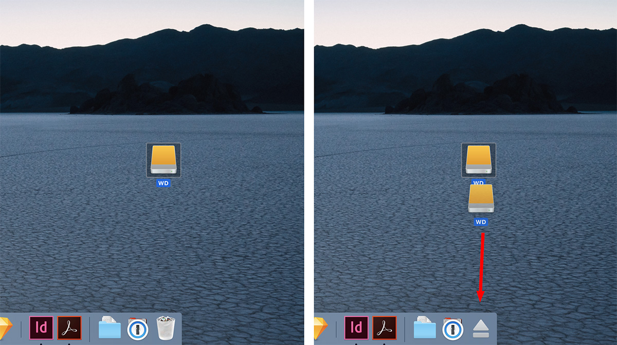 Il cestino del MacOS usato per espellere un disco esterno loading:lazy