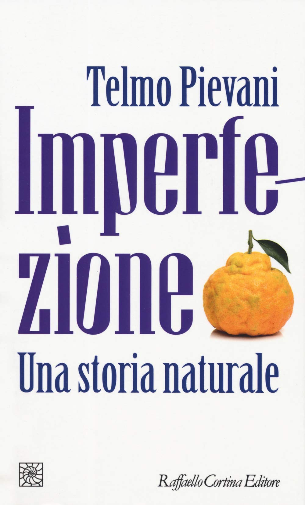 Imperfezione