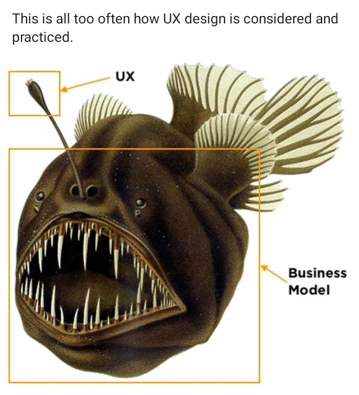 La rana pescatrice come metafora dello UX Design